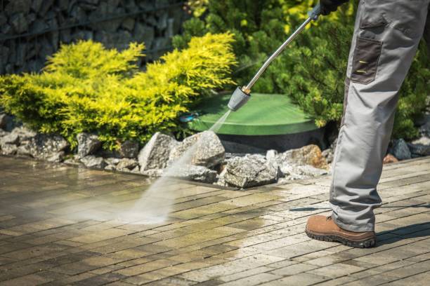 Best Sidewalk and Walkway Cleaning  in Mcnary, AZ