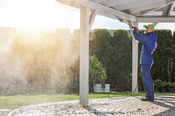 Best Soft Washing  in Mcnary, AZ