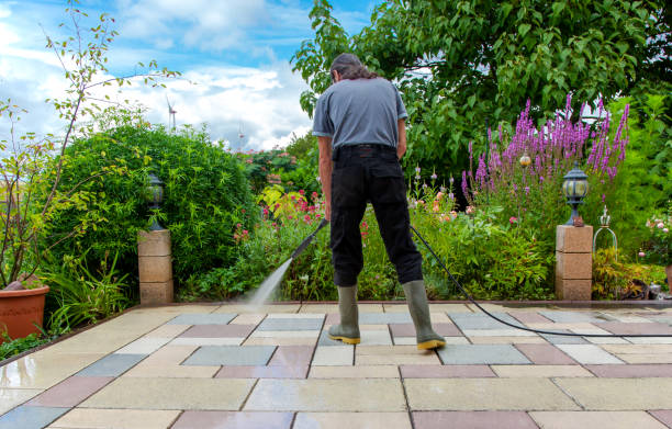 Best Animal Enclosure Cleaning  in Mcnary, AZ