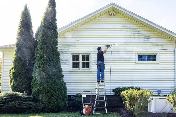 Best Residential Exterior Washing  in Mcnary, AZ
