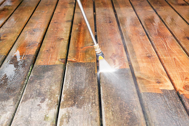 Best Fence Cleaning  in Mcnary, AZ